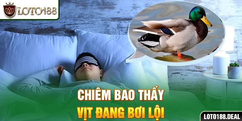 Chiêm bao thấy vịt đang bơi lội