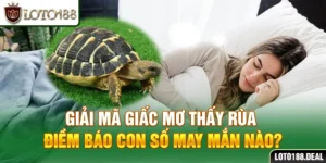Giải Mã Giấc Mơ Thấy Rùa - Điềm Báo Con Số May Mắn Nào?