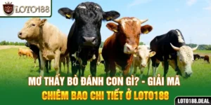 Mơ thấy bò đánh con gì? Giải mã chiêm bao chi tiết ở Loto188