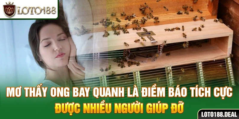 Mơ thấy ong bay quanh là điềm báo tích cực được nhiều người giúp đỡ