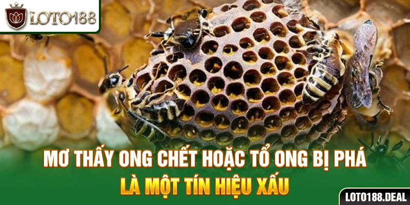 Mơ thấy ong chết hoặc tổ ong bị phá là một tín hiệu xấu