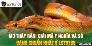 Mơ Thấy Rắn: Giải Mã Ý Nghĩa Và Số Đánh Ở Loto188