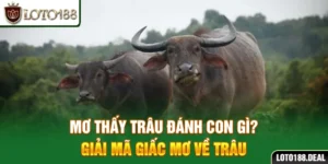 Mơ Thấy Trâu Đánh Con Gì? Giải Mã Giấc Mơ Về Trâu