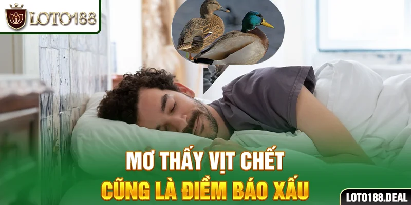 Mơ thấy vịt chết cũng là điềm báo xấu