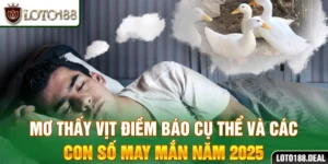 Mơ thấy vịt: Điềm báo cụ thể và các con số may mắn năm 2025