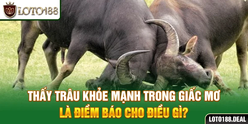 Thấy trâu khỏe mạnh trong giấc mơ là điềm báo cho điều gì?