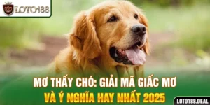Mơ thấy chó: Giải mã giấc mơ và ý nghĩa hay nhất 2025