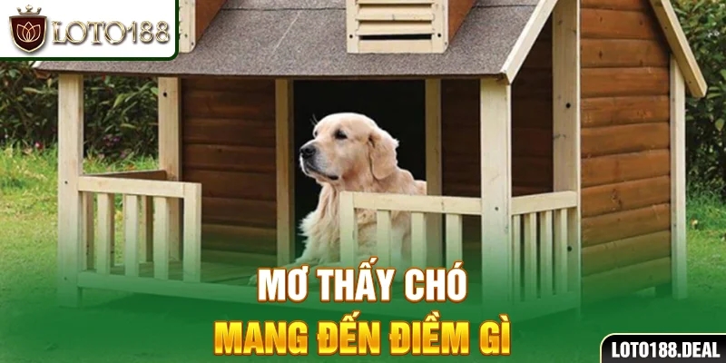 Mơ thấy chó mang đến điềm gì